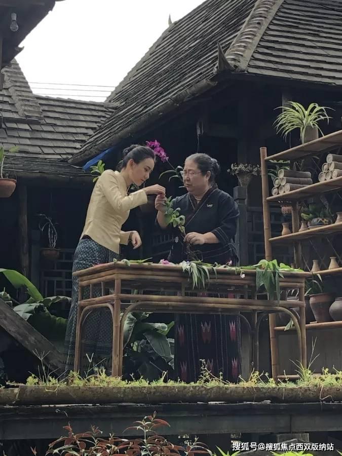 新大嘴怪冒险